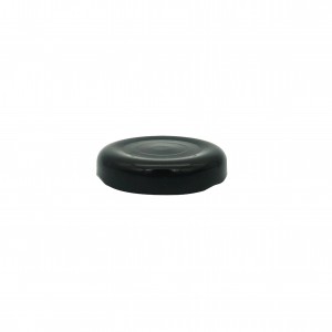 Lug—black cap