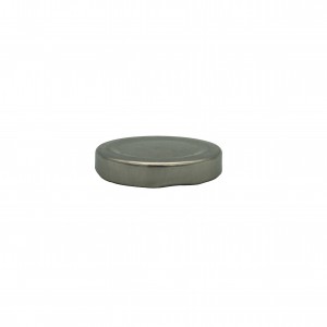 Lug—silver cap